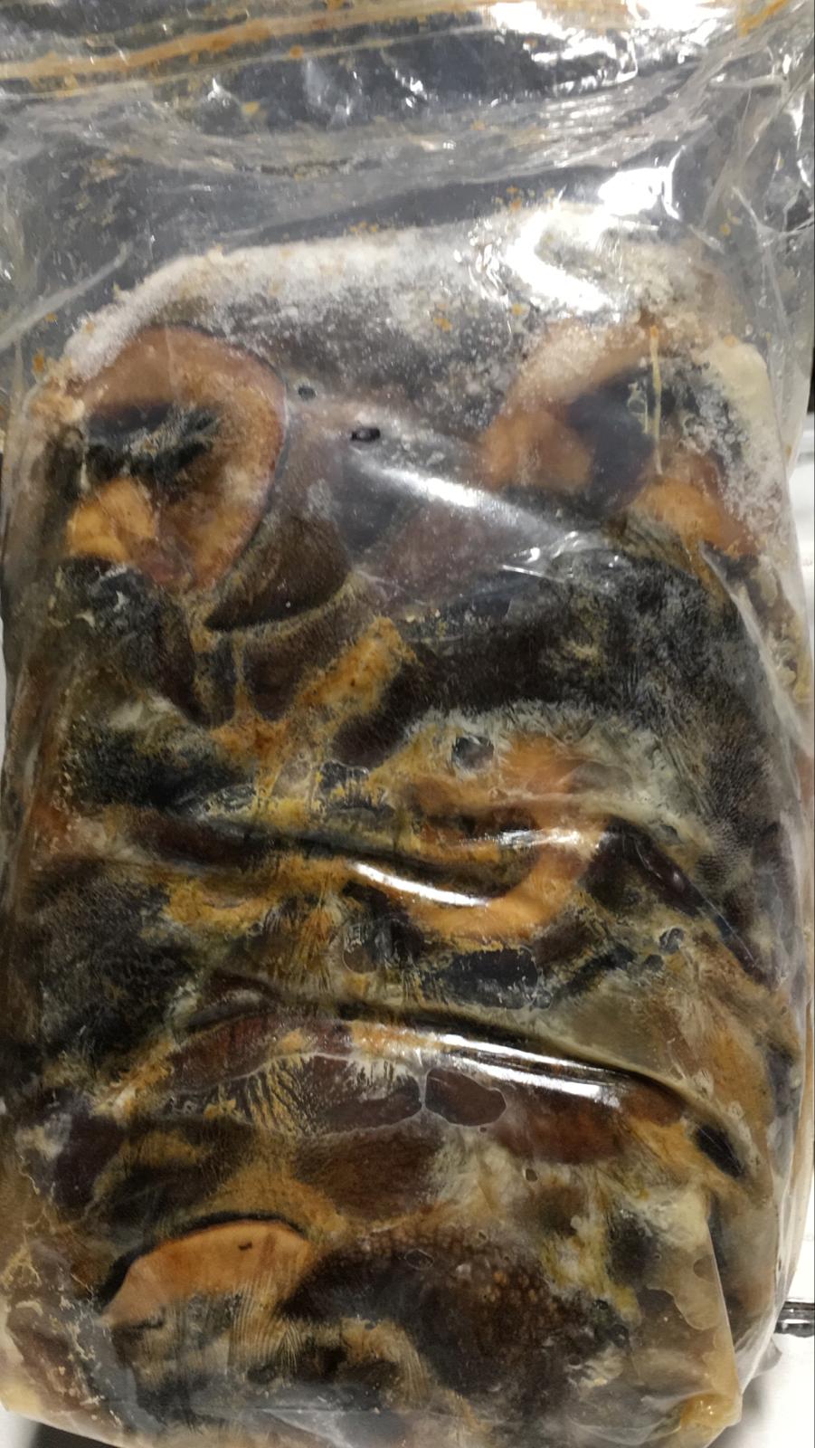 Frozen Nigerian Snail 5.1 lbs