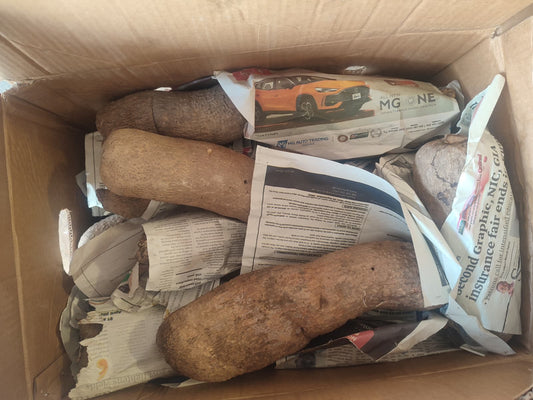 Yam