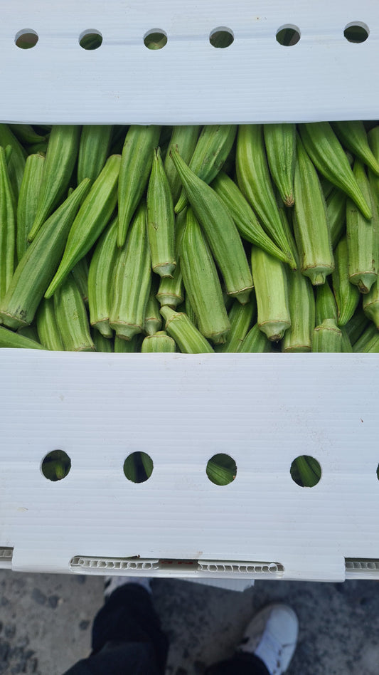 Fresh Whole Okra