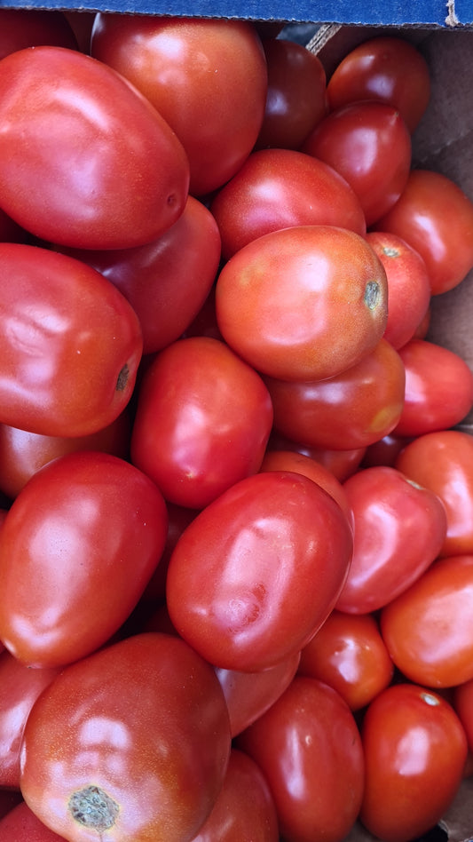 Box of Tomatoes (Fresh)