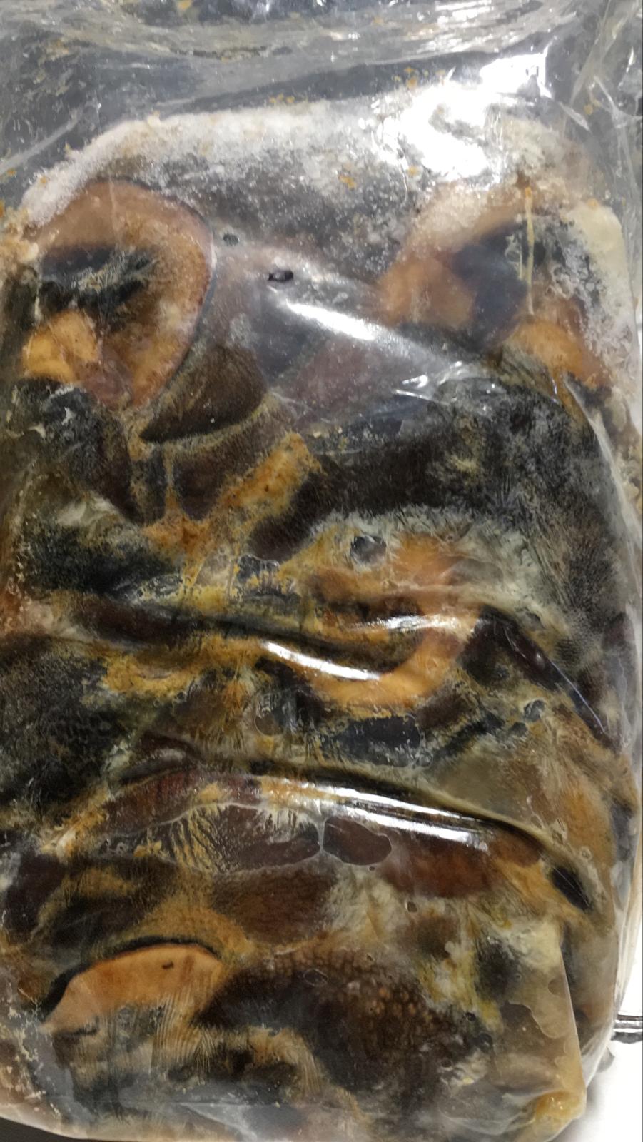 Frozen Nigerian Snail 5.1 lbs