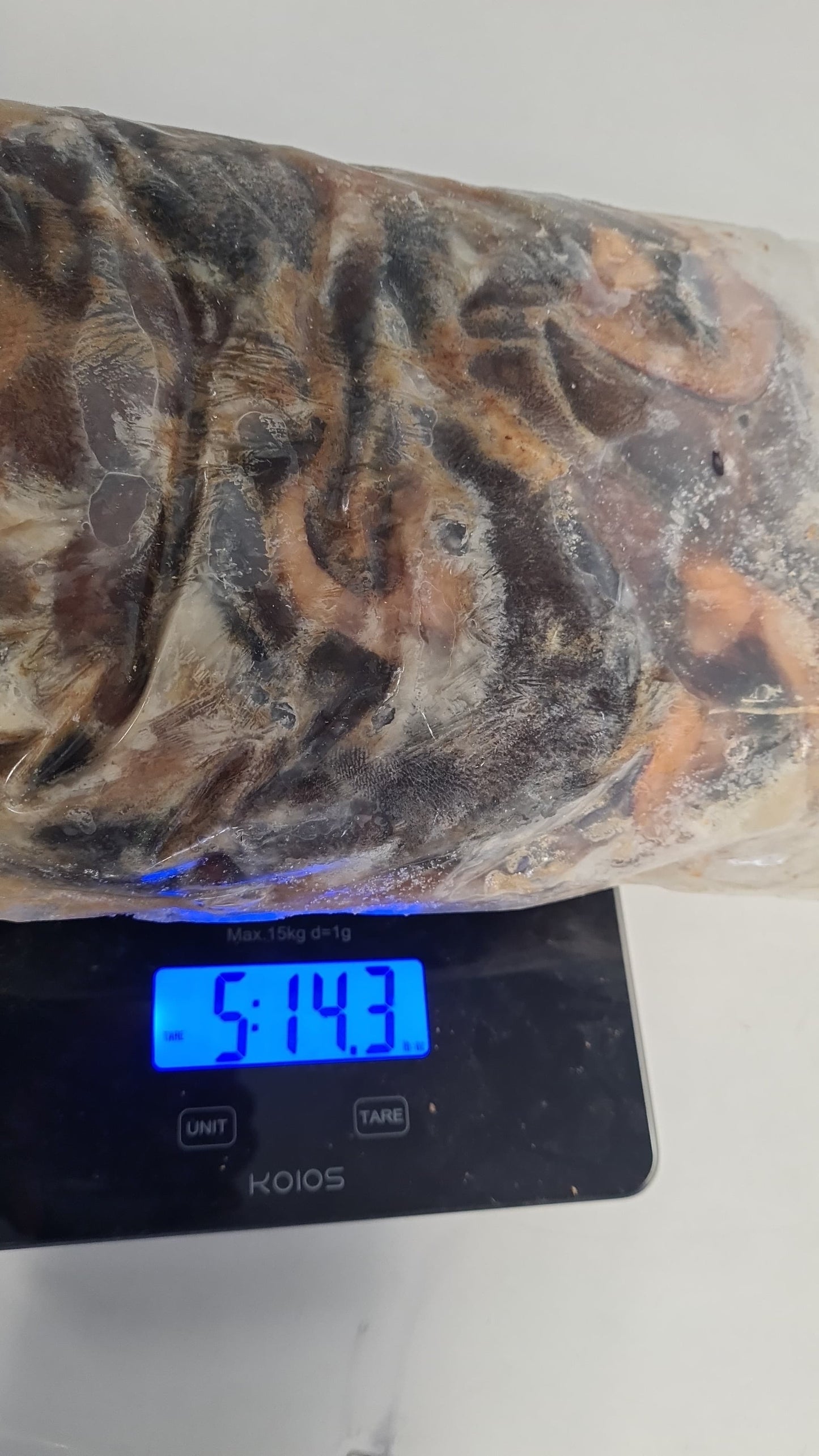 Frozen Nigerian Snail 5.1 lbs