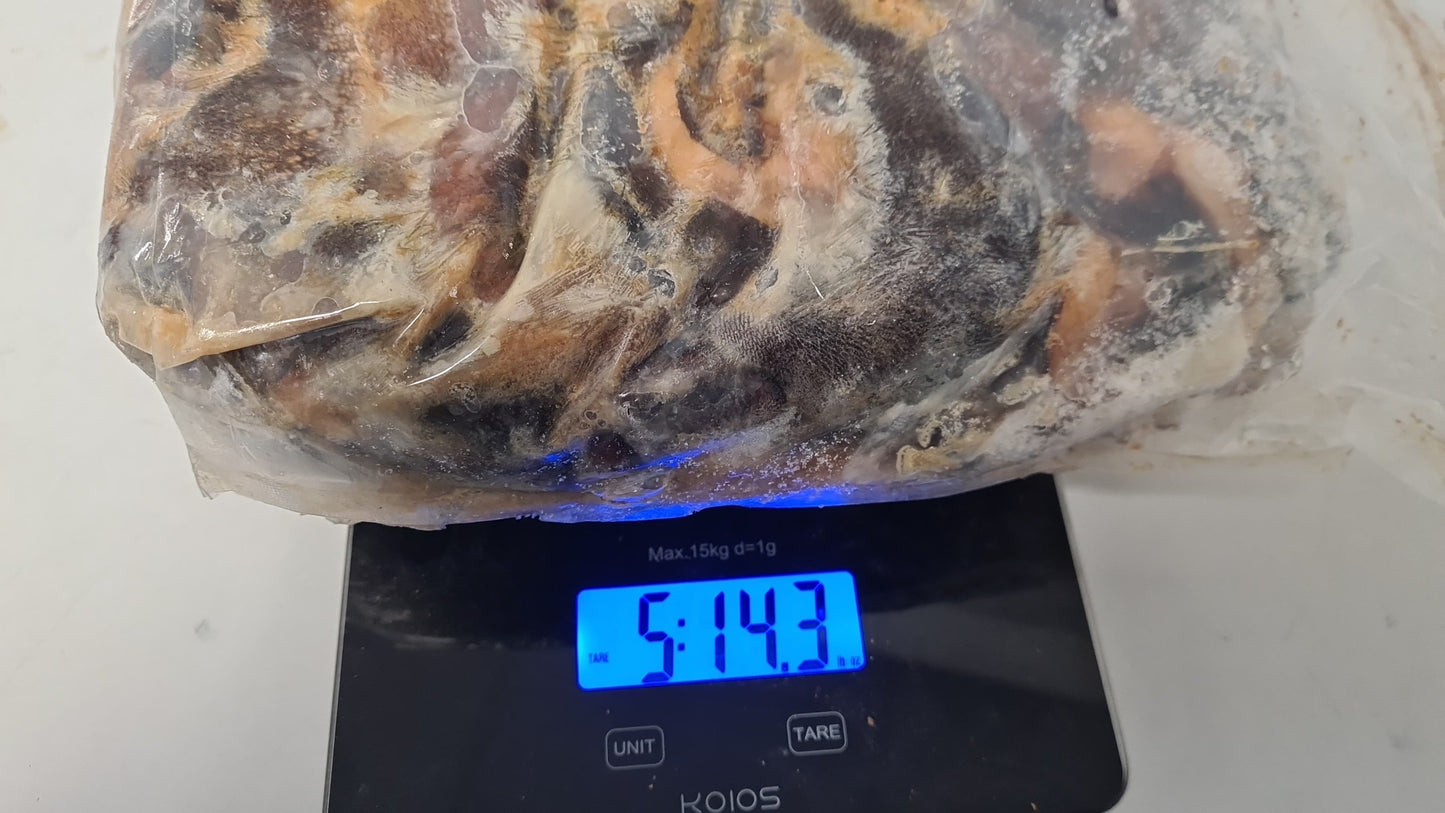 Frozen Nigerian Snail 5.1 lbs