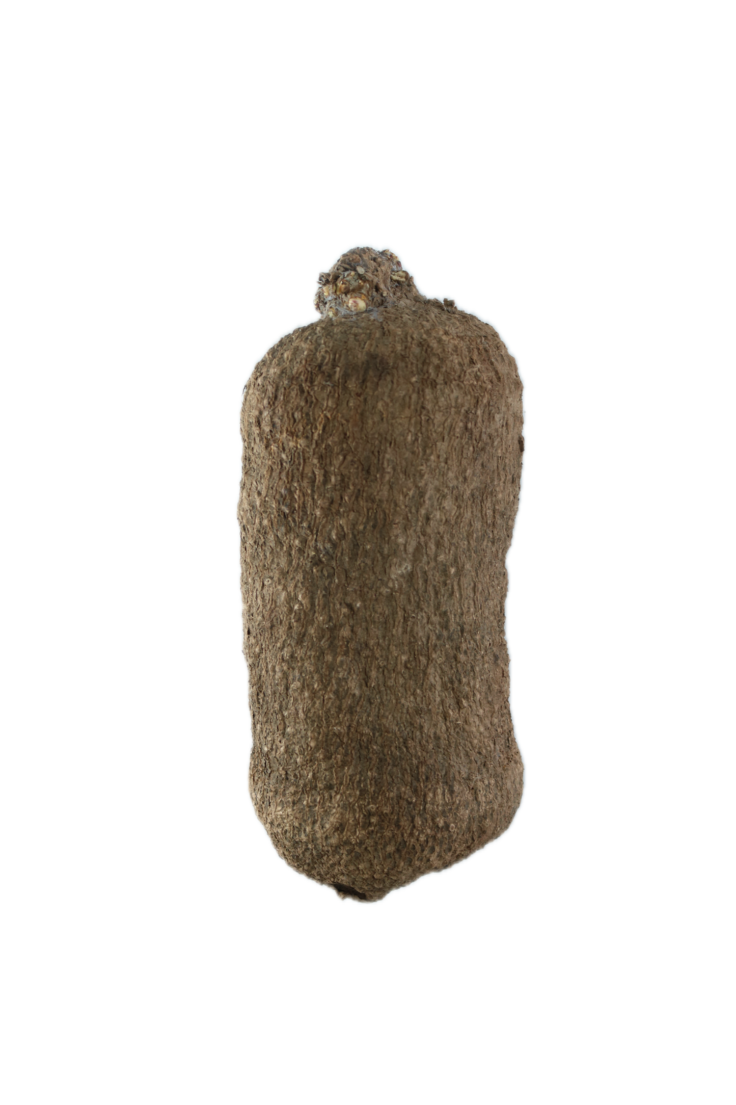 Yam
