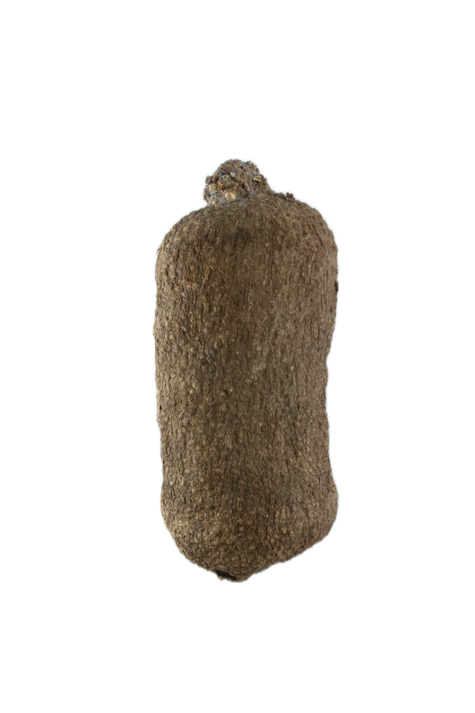 Yam